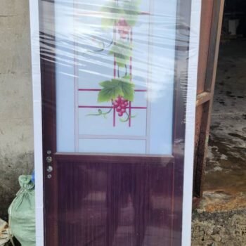 Imported Toilet Door